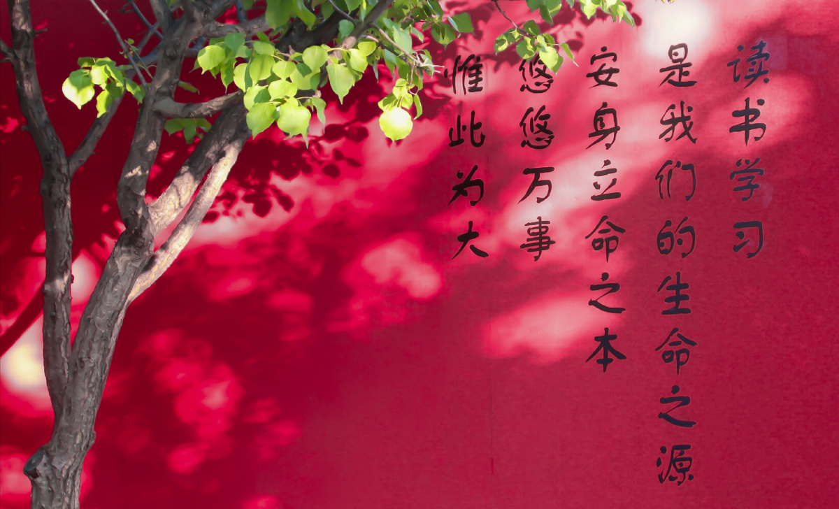 奈何我们总是偏爱这人间烟火贪恋这红尘俗世