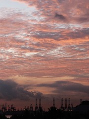 9408B58B-AF49-4811-AA78-FA2FC821B5FD/L0/001
