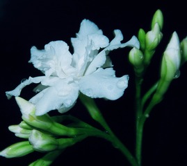 968670