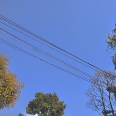 9FD17BC0-72AA-4C8C-8D29-EF2685BFA349/L0/001
