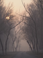 587221DF-4E28-4D65-BF20-0E82C649A41B/L0/001