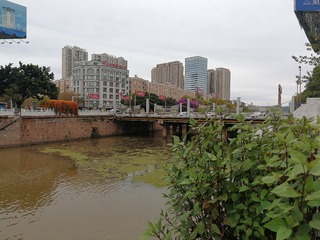 3138293