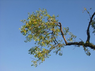 864361
