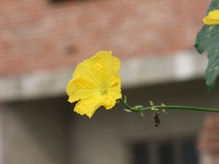 864246
