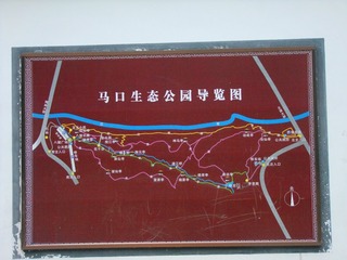 864461