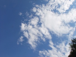 863766