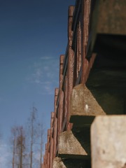 36946AD0-A8A8-46C6-98CC-133CF4296B77/L0/001