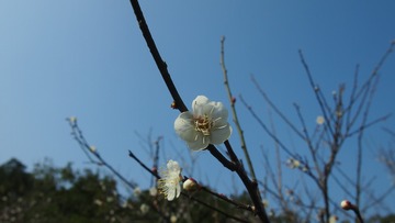 F29ABF4C-3C47-4923-AA82-426E7154FCFC/L0/001