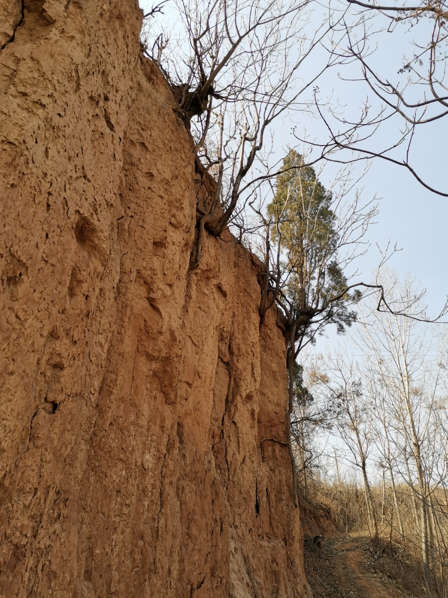 900_1200竖版 竖屏