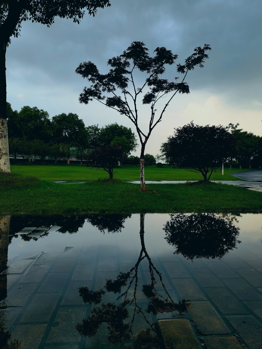 雨后赏美景空气也清新