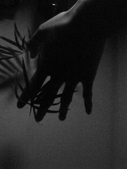 7B8A6C4D-E34E-4A53-8452-9300268C34EE/L0/001