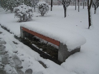 64503