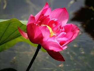 IMG_6137_dh_dh