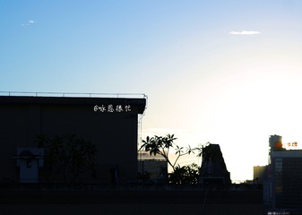 1024372