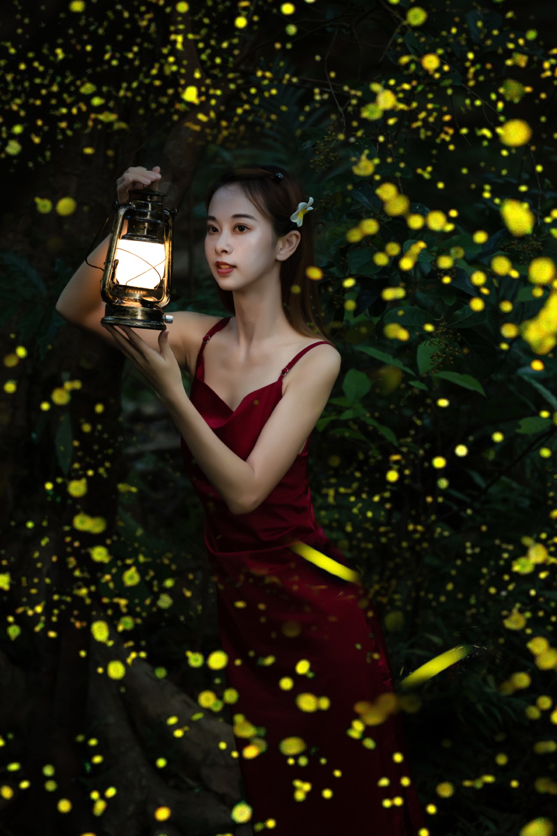 萤火虫写真 - 花贝摄影 - 图虫