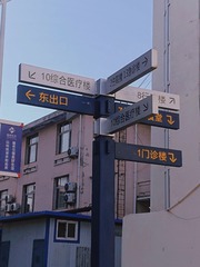3147838