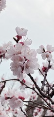 E73D912C-7F20-48C4-A918-855FF7CE9EE6/L0/001