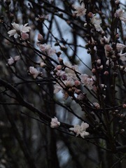 1BD7056A-500A-4B85-8115-6EE5B6F3694C/L0/001