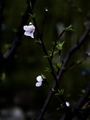 21F609F8-48E8-46BE-AC58-3175DAEB5398/L0/001