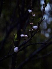 48D01275-C990-45AE-859D-70673FCB14DF/L0/001