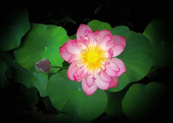 C15CB05B-3277-4485-A903-261B2DCF4FD8/L0/001