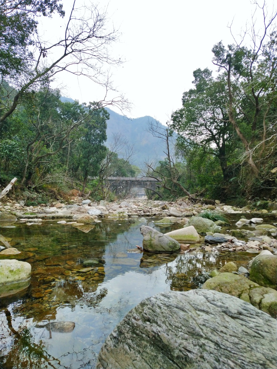 山里的景色属实的美