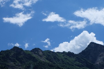 8A4B885A-C518-4DEC-8B50-A5F6625FB81A/L0/001