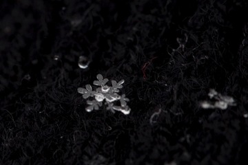 A21B80EB-8798-47A3-83A7-4C5D164649CF/L0/001