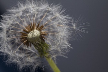 F55FF826-E946-4CF8-8F5D-3A858E09F1EA/L0/001