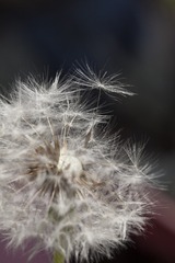 5F2124F3-2FA4-4881-9D8E-D488FAB66CC9/L0/001