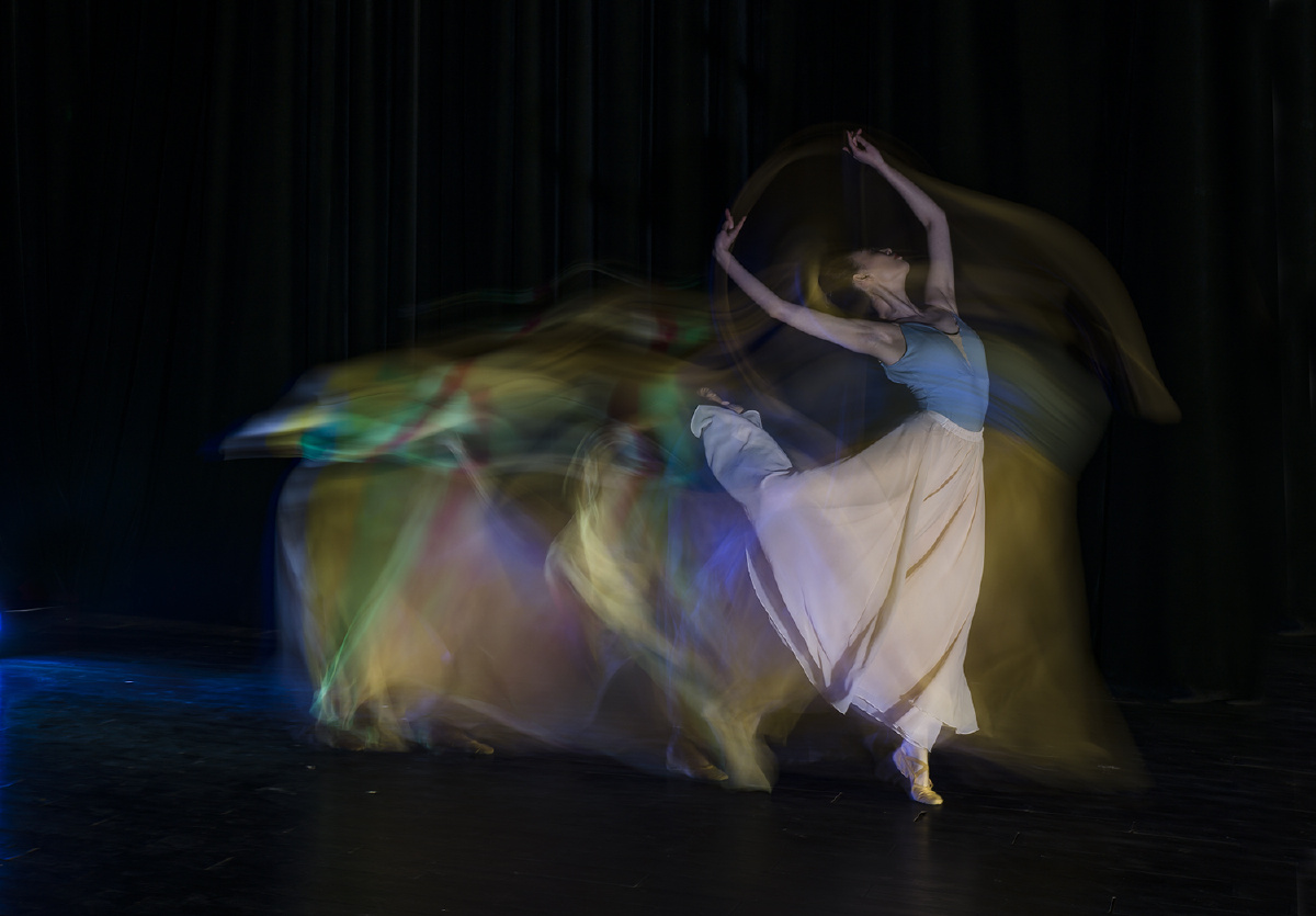 2021玫瑰舞动新的人生舞出美的精彩玫瑰玫瑰玫瑰一个