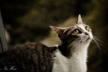 93831