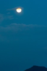 2300616