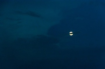 2300619