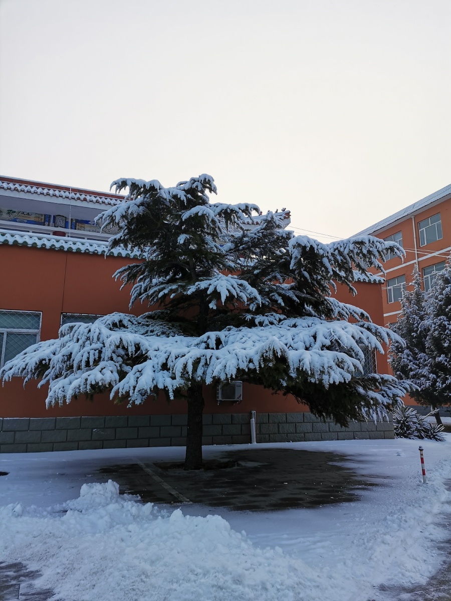 美丽的北京联合大学昌平校区雪景