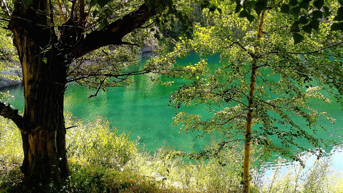 中国，新疆，风景，树与湖水