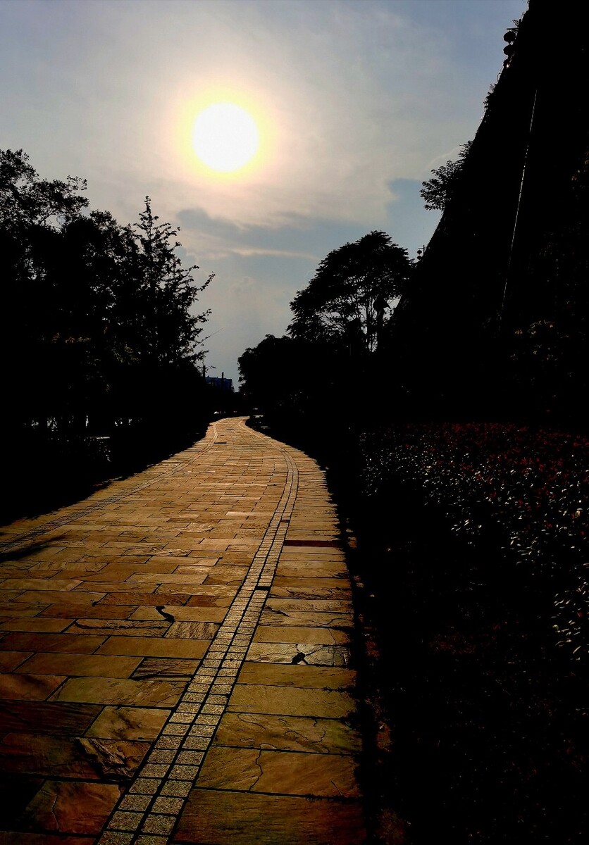 中国，南京，风景，步行道