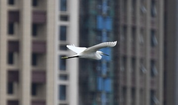2319042