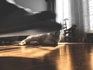 AB11CB50-8592-403F-A6D8-CF1754AE2C8C/L0/001