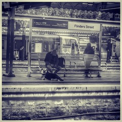 73F43525-E16D-43EA-B8D9-312498C1E693/L0/001