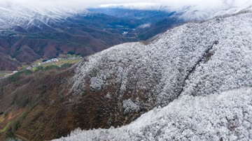 DJI_0757