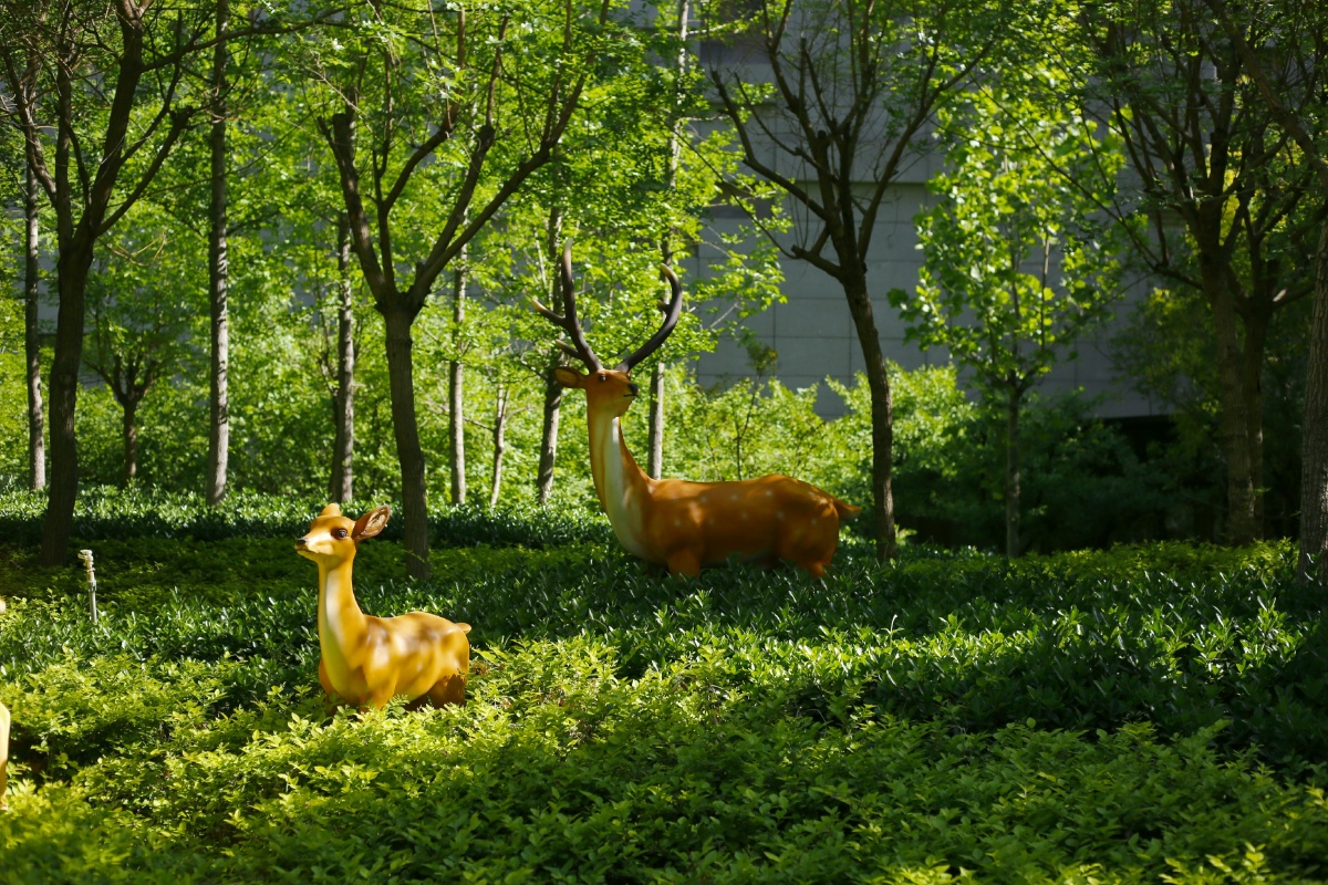 迷失森林的小鹿会不会遇到女巫