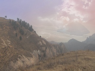 19009