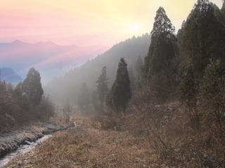 19027
