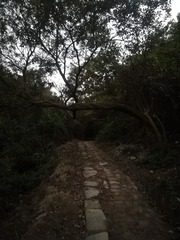 1505793