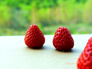 8C74390B-4729-43C3-8374-1A8113F0A501/L0/001