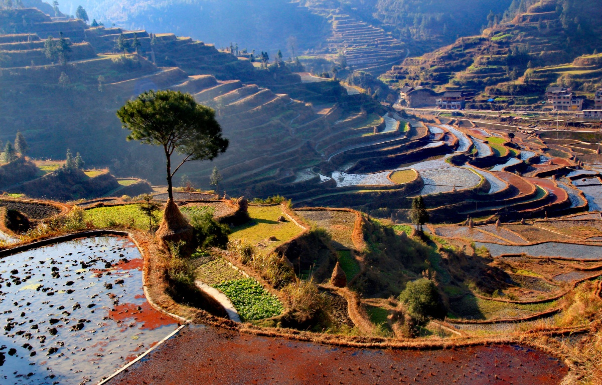 梯田拍摄于贵州西江千户苗寨