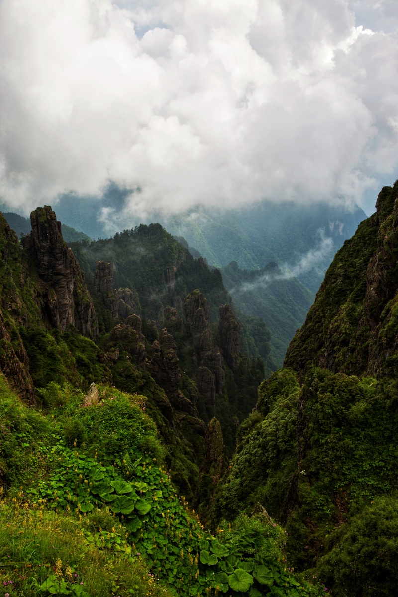 神农架山顶拍摄于湖北神农架