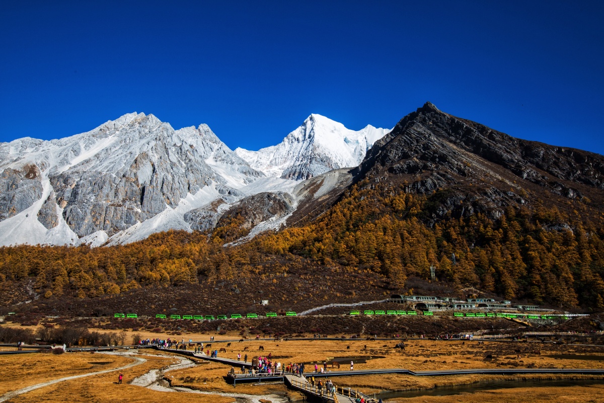 稻城亚丁洛绒牛场海拔高度4200米