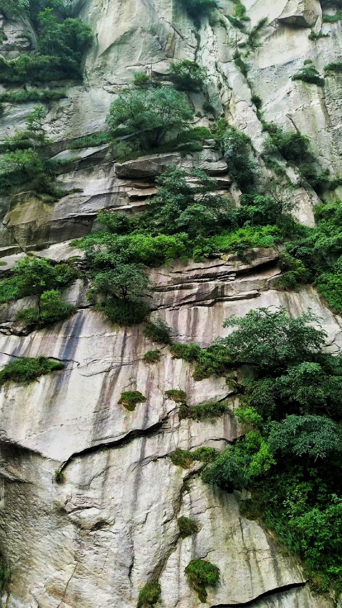 悬崖上的山水画拍摄于陕西华阴仙峪